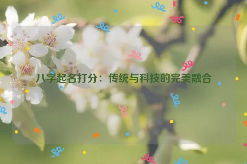 八字起名打分：传统与科技的完美融合