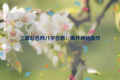 三藏起名网八字合婚：揭开神秘面纱