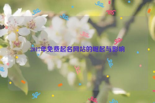 2017年免费起名网站的崛起与影响