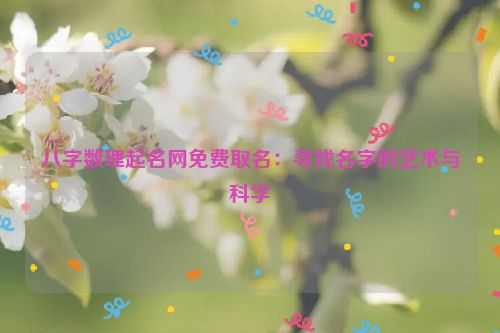 八字数理起名网免费取名：寻找名字的艺术与科学