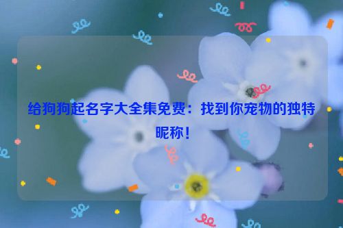 给狗狗起名字大全集免费：找到你宠物的独特昵称！