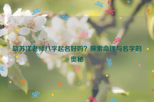 胡苏洋老师八字起名好吗？探索命理与名字的奥秘