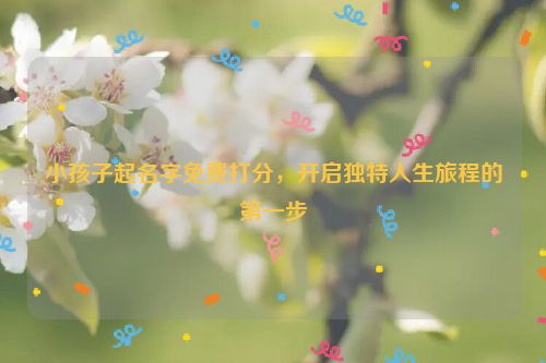 小孩子起名字免费打分，开启独特人生旅程的第一步