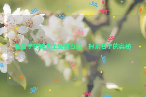 起名字男孩大全免费百度：探索名字的奥秘