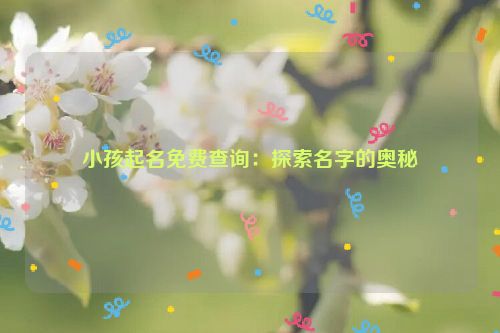 小孩起名免费查询：探索名字的奥秘