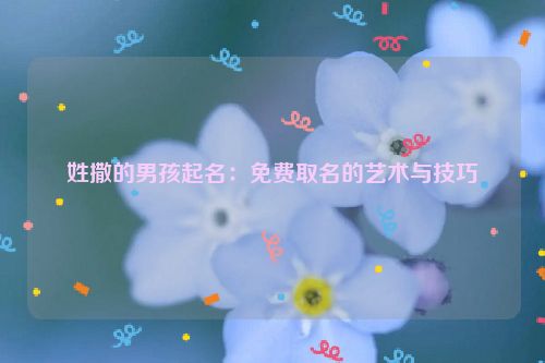 姓撒的男孩起名：免费取名的艺术与技巧