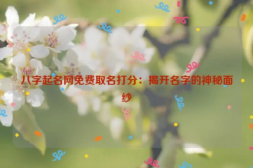 八字起名网免费取名打分：揭开名字的神秘面纱