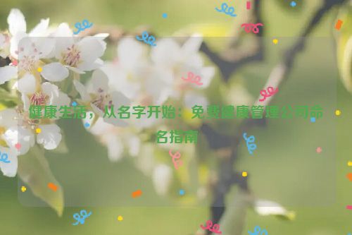 健康生活，从名字开始：免费健康管理公司命名指南