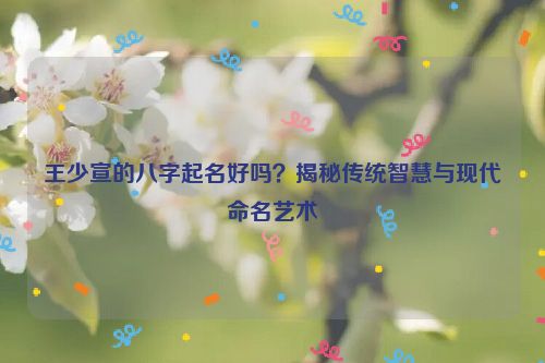 王少宣的八字起名好吗？揭秘传统智慧与现代命名艺术