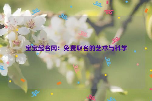 宝宝起名网：免费取名的艺术与科学