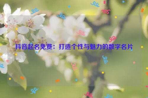 抖音起名免费：打造个性与魅力的数字名片