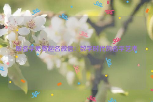 取名字免费起名微信：数字时代的名字艺术