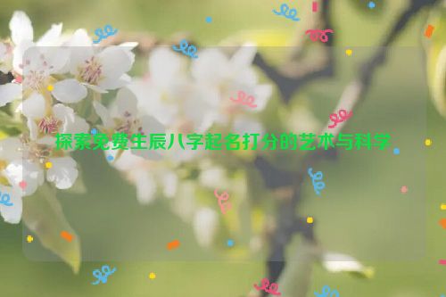 探索免费生辰八字起名打分的艺术与科学