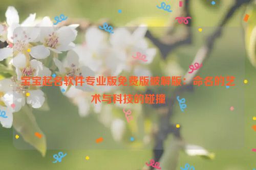 宝宝起名软件专业版免费版破解版：命名的艺术与科技的碰撞