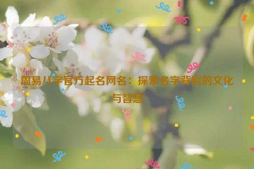 周易八字官方起名网名：探索名字背后的文化与智慧