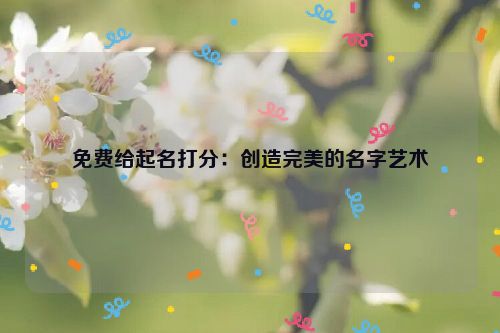 免费给起名打分：创造完美的名字艺术