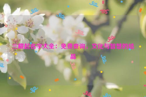 三藏起名字大全：免费查询，文化与智慧的结晶