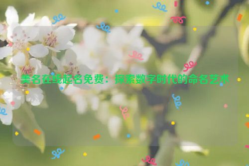 美名在线起名免费：探索数字时代的命名艺术