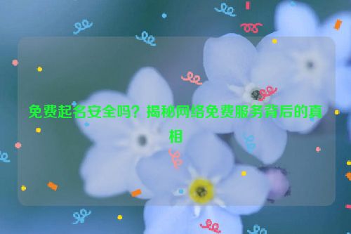 免费起名安全吗？揭秘网络免费服务背后的真相