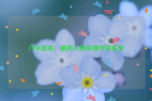 八字起名：属狗人的命理与姓名学