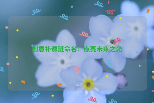 创意补课班命名：点亮未来之光