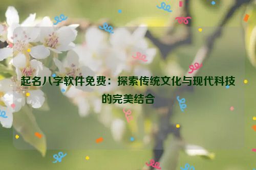 起名八字软件免费：探索传统文化与现代科技的完美结合