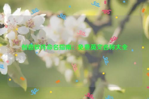 创意软件命名指南：免费英文名称大全