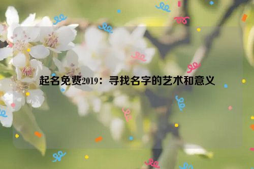 起名免费2019：寻找名字的艺术和意义