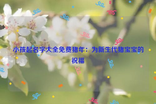 小孩起名字大全免费猪年：为新生代猪宝宝的祝福