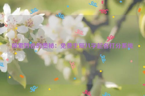 探索姓名的奥秘：免费生辰八字起名打分系统