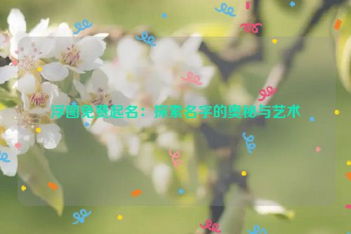 浮图免费起名：探索名字的奥秘与艺术