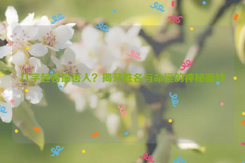 八字起名最害人？揭开姓名与命运的神秘面纱