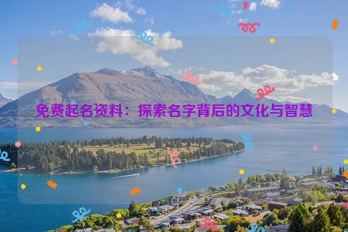 免费起名资料：探索名字背后的文化与智慧