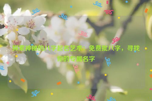 探索神秘的八字起名艺术：免费批八字，寻找你的专属名字