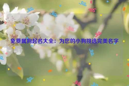 免费属狗起名大全：为您的小狗挑选完美名字