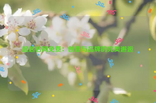 起起名网免费：创意与品牌的完美邂逅