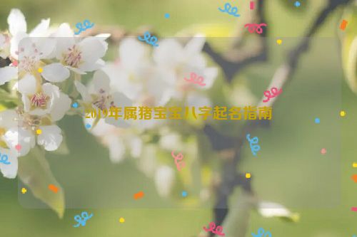 2019年属猪宝宝八字起名指南