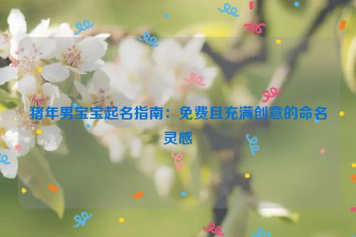 猪年男宝宝起名指南：免费且充满创意的命名灵感