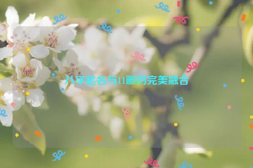 八字起名与11画的完美融合