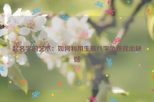 起名字的艺术：如何利用生辰八字免费找出缺憾