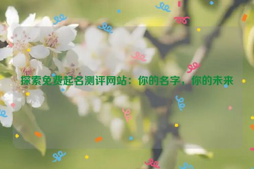 探索免费起名测评网站：你的名字，你的未来