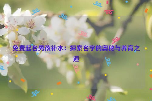 免费起名男孩补水：探索名字的奥秘与养育之道