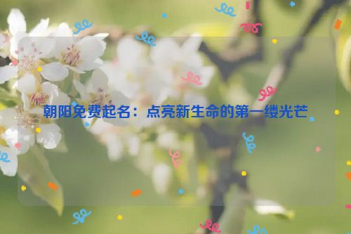 朝阳免费起名：点亮新生命的第一缕光芒