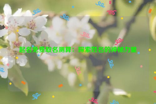 起名免费取名测算：探索姓名的神秘力量