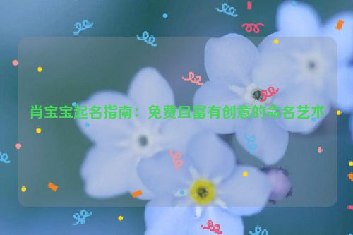 肖宝宝起名指南：免费且富有创意的命名艺术