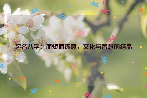 起名八字：简短而深意，文化与智慧的结晶