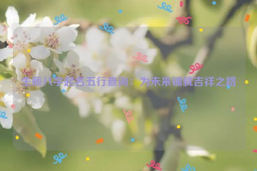 生辰八字起名五行查询：为未来铺就吉祥之路