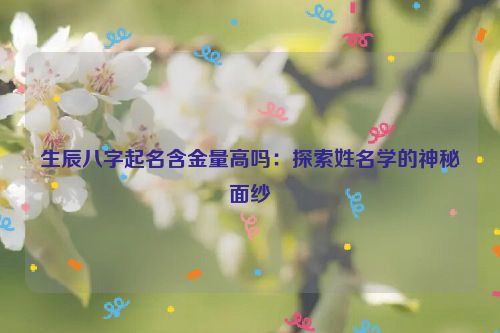 生辰八字起名含金量高吗：探索姓名学的神秘面纱