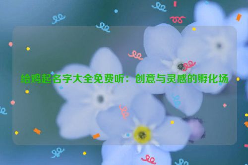 给鸡起名字大全免费听：创意与灵感的孵化场