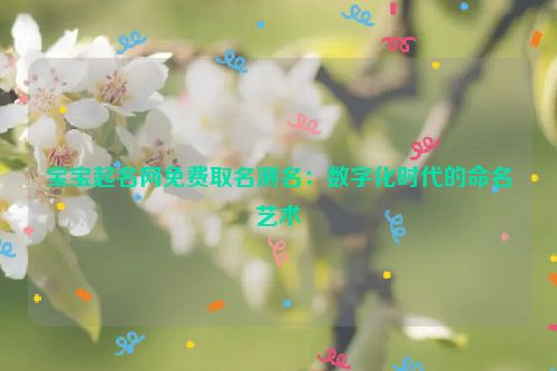 宝宝起名网免费取名测名：数字化时代的命名艺术